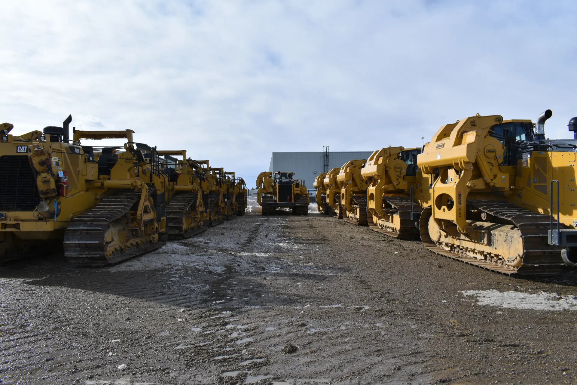 Several pipelayer machines lined up together